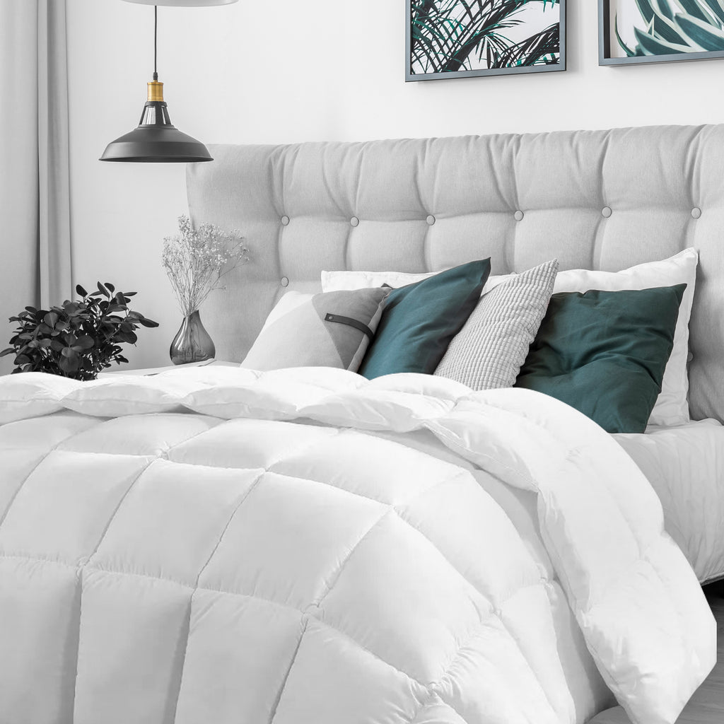 Casa Decor 360GSM Silk Touch Quilt - Queen-1951134841470849024
