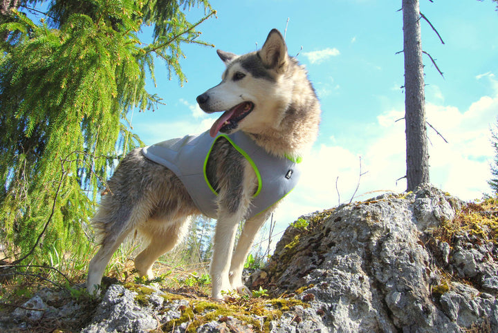 True Love Cooling Vest - Yellow, 2XL-1962324892733018116