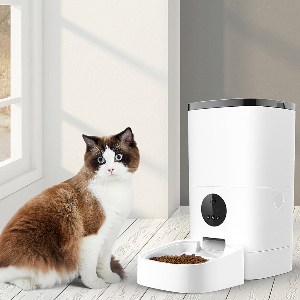 PaWz 6L Auto Feeder Pet Automatic Camera-1954802532199043078