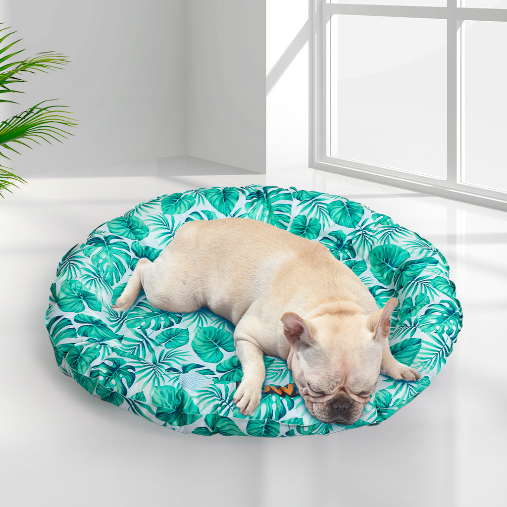 PaWz Pet Cool Gel Mat Cat Bed Dog Bolster L Large-1954802534946312198