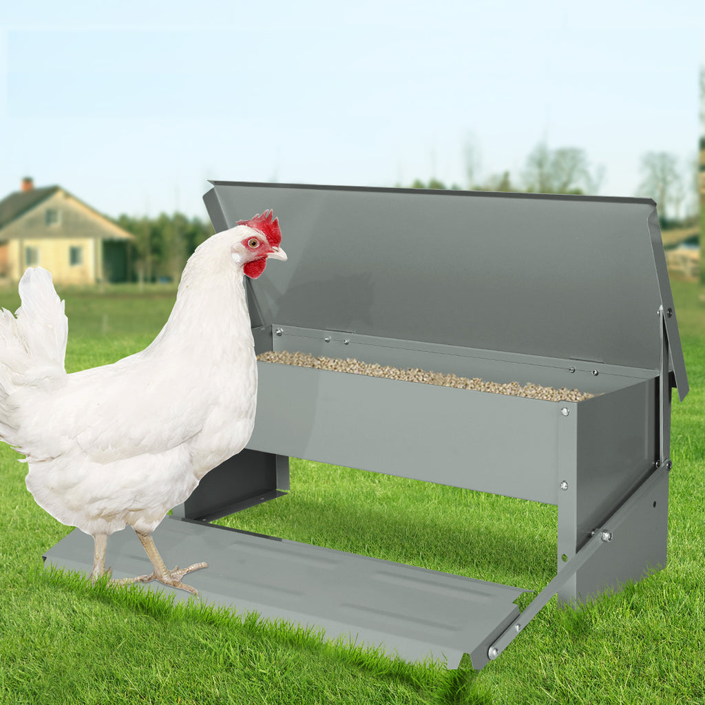 PaWz 5KG Auto Automatic Chicken Feeder-1954802681876975622