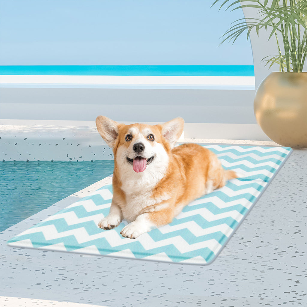 Pawz Pet Cooling Mat M Blue-1954802430524919814