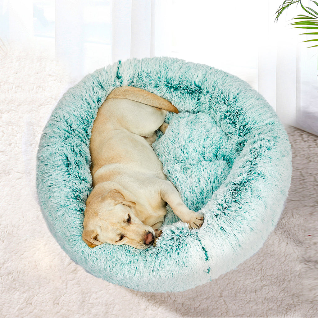 PaWz Pet Beds Dog Cat Soft Warm Kennel XXL Teal XX-Large-1954802522367594502