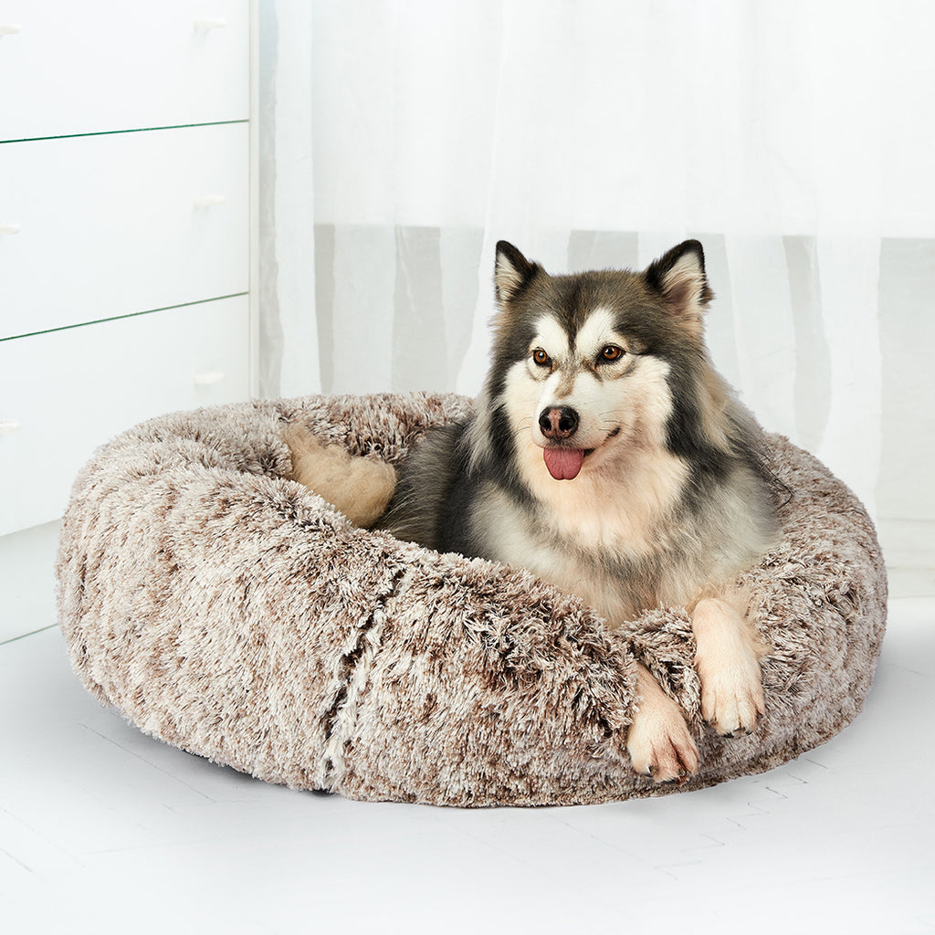 PaWz Pet Beds Dog Cat Soft Warm Kennel XXL Brown XX-Large-1954802521272881159