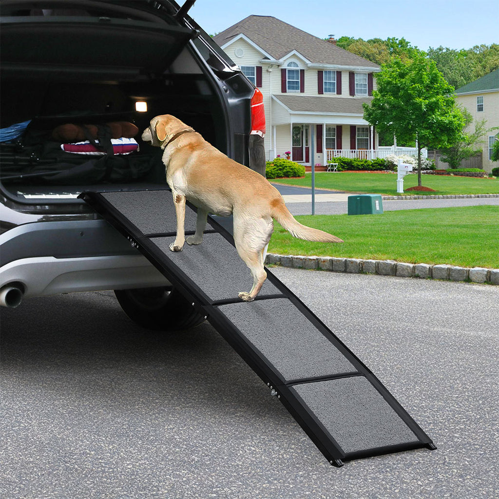 Pawz Dog Ramp-1954802424690642951