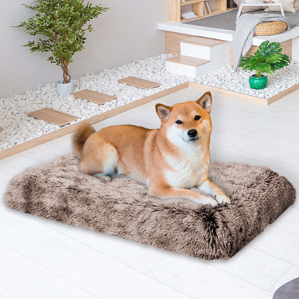 PaWz Dog Mat Pet Calming Bed Memory M Coffee Medium-1954802546543562759