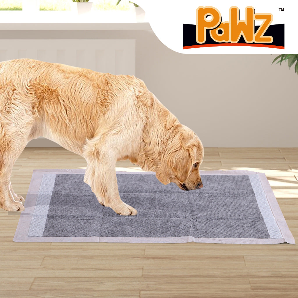 PaWz 100 Pcs 60x60cm Charcoal Pet Puppy-1954803022337019910