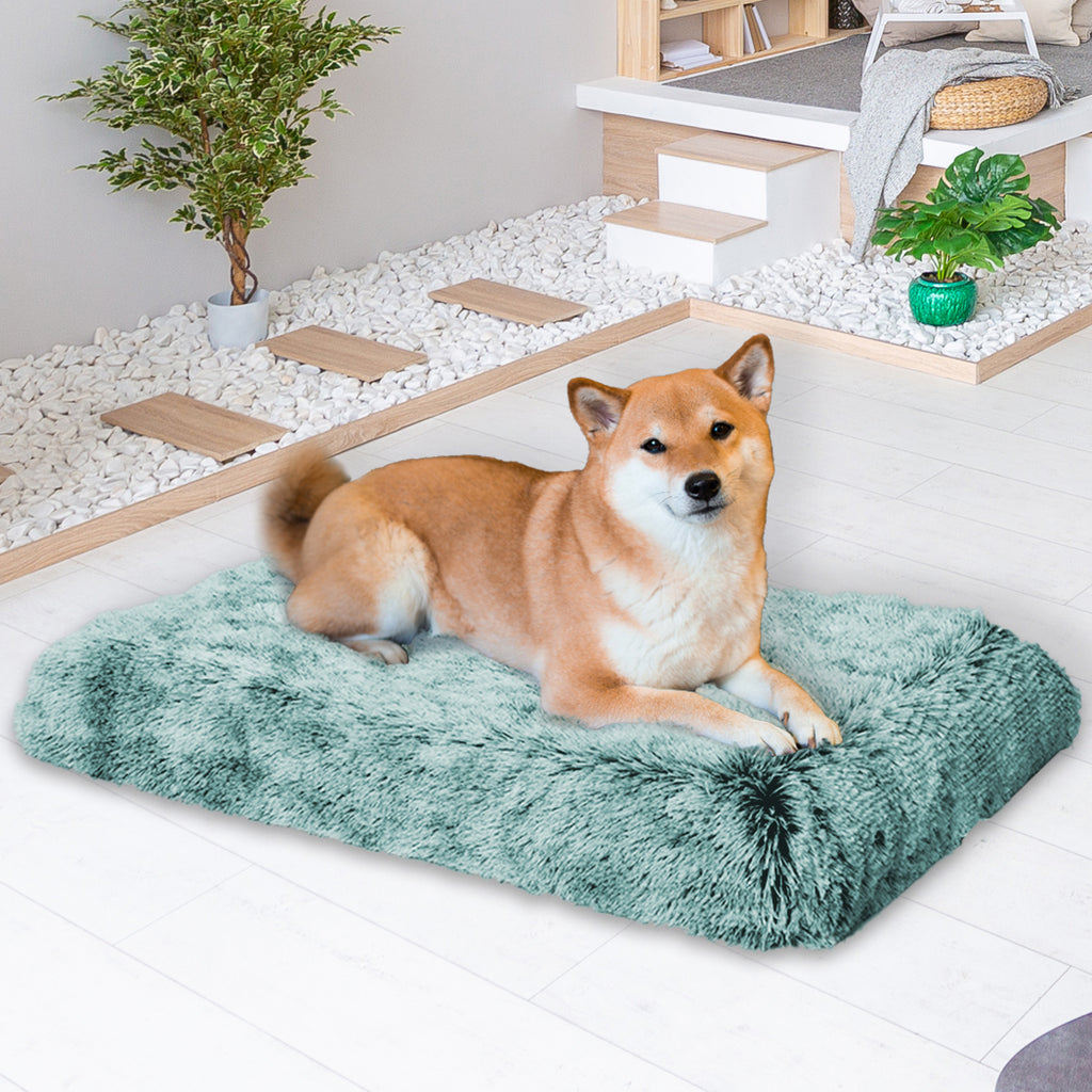 PaWz Dog Mat Pet Calming Bed Memory M Green Medium-1954802547059462151