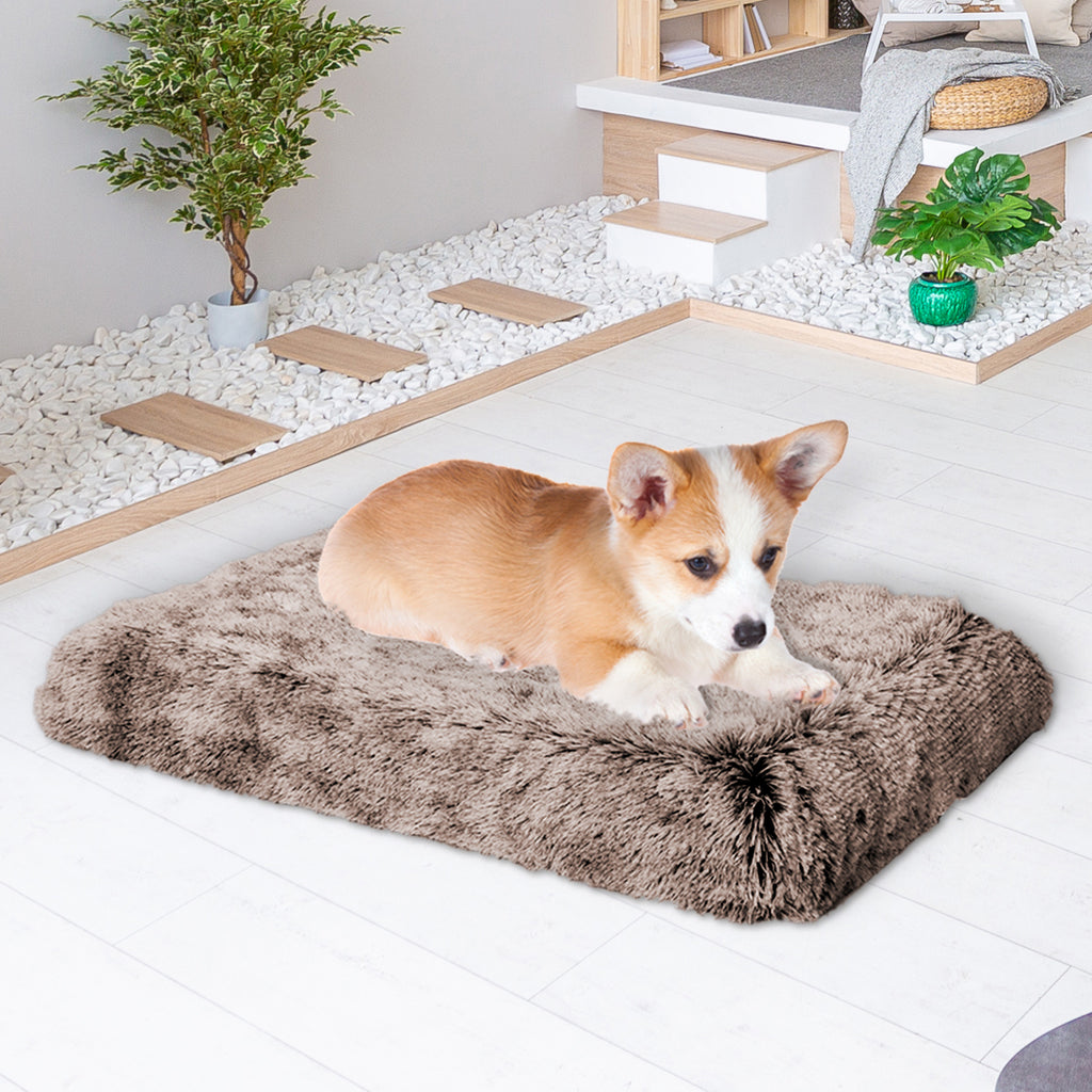 PaWz Dog Mat Pet Cat Calming Bed Memory S Coffee Small-1954802547227234311