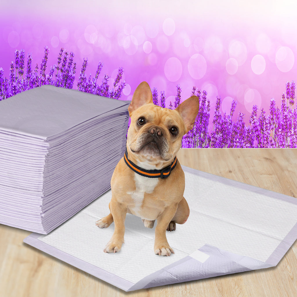 PaWz 200x Pet Dog Toilet Training Pad-1954802567473139719