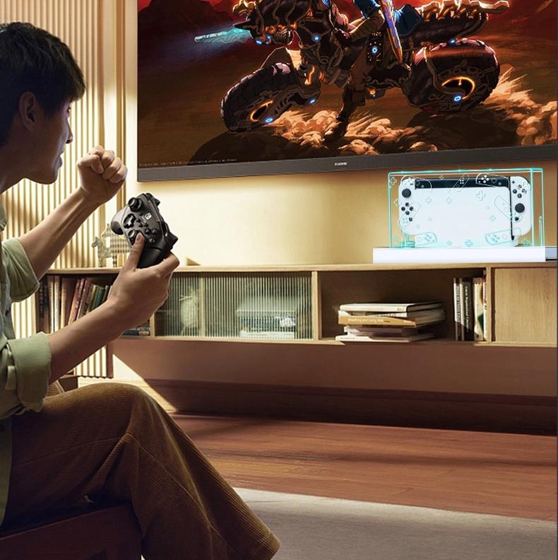 Nintendo Switch Oled Dustproof Cover - 035-1915198130123575301