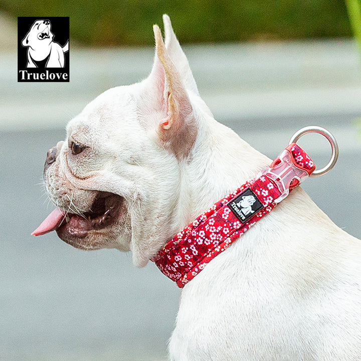 True Love Floral Dog Collar - Red, XL-1962324873841872898