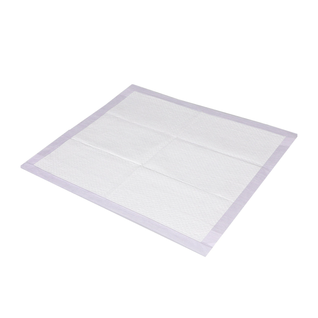PaWz 200x Pet Dog Toilet Training Pad-1954802567473139712