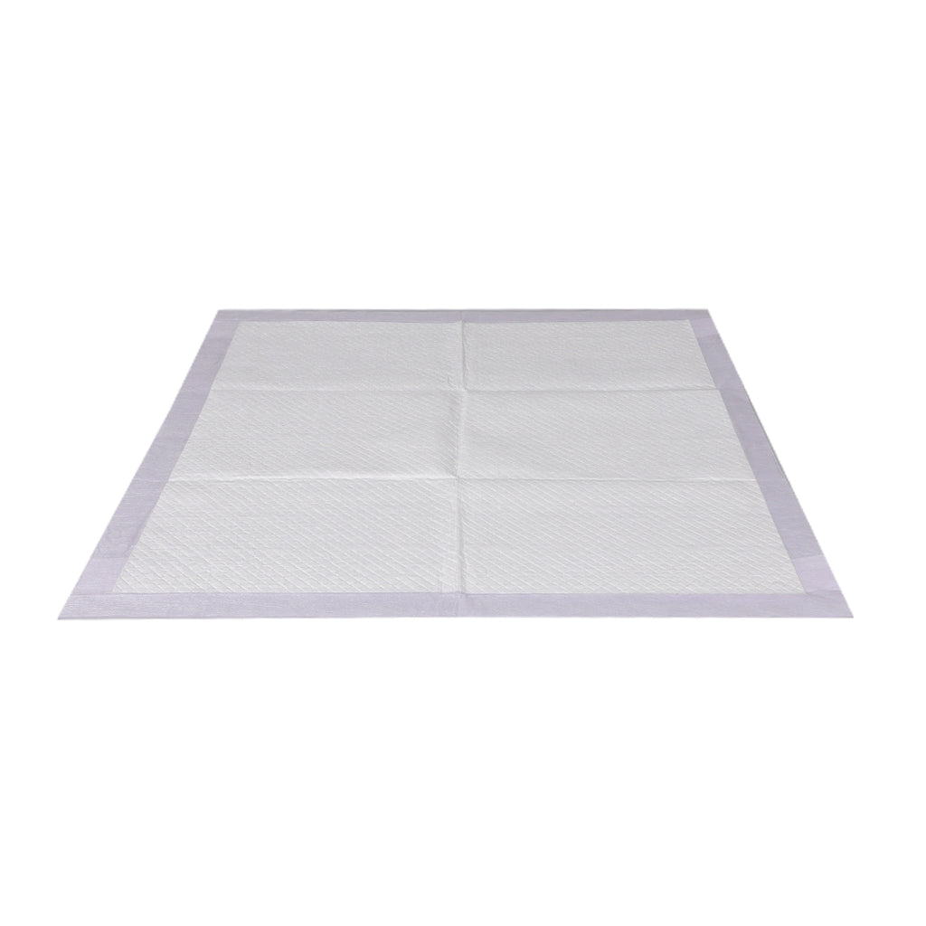 PaWz 200x Pet Dog Toilet Training Pad-1954802567473139713