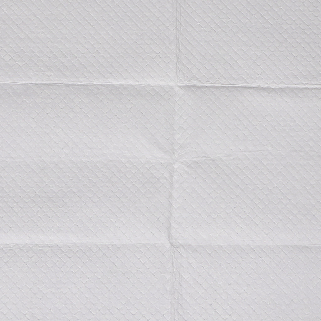 PaWz 200x Pet Dog Toilet Training Pad-1954802567473139717
