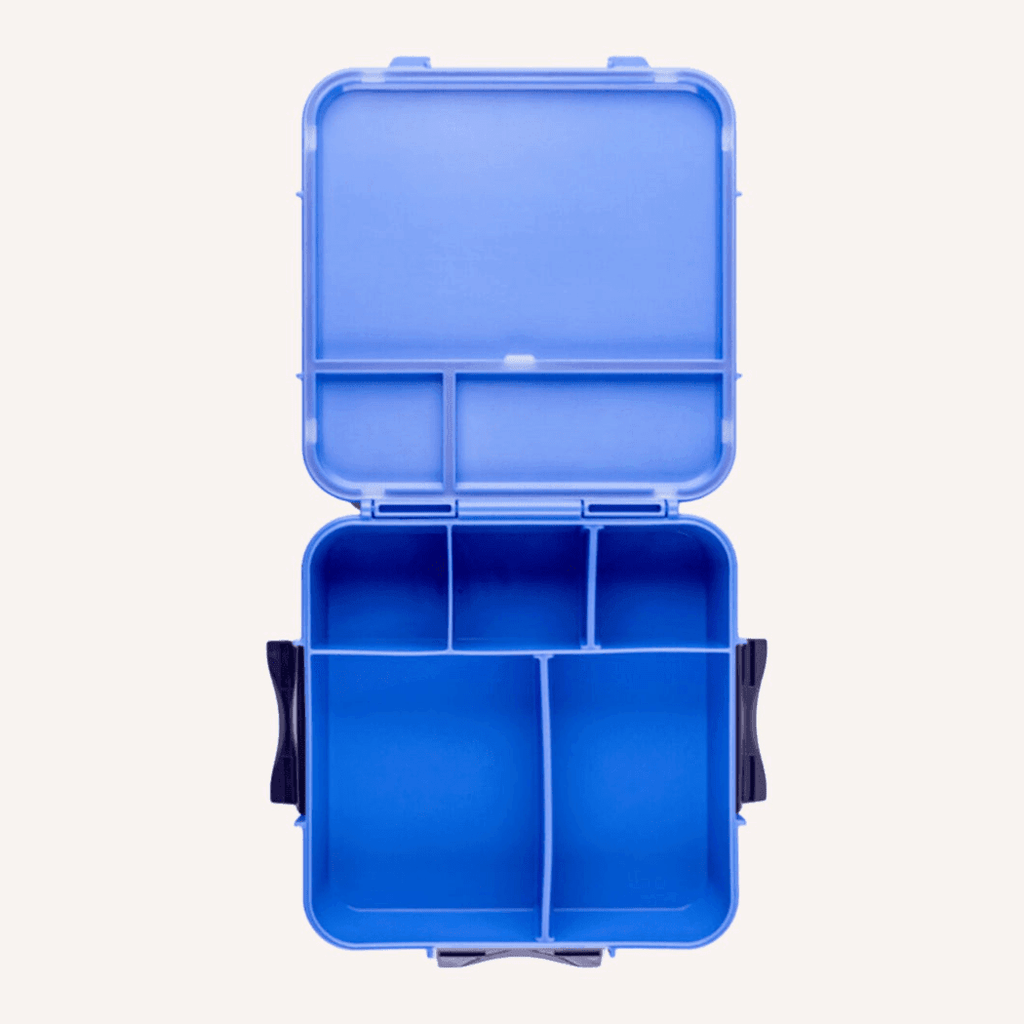 MONTII.CO Bento Plus | Blueberry-1954803116885020673