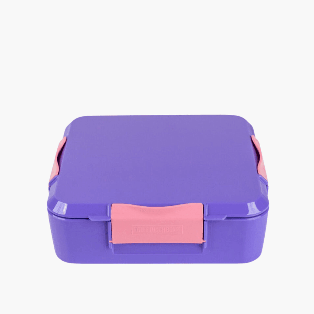MONTII.CO Bento Plus | Grape-1954803117291868160