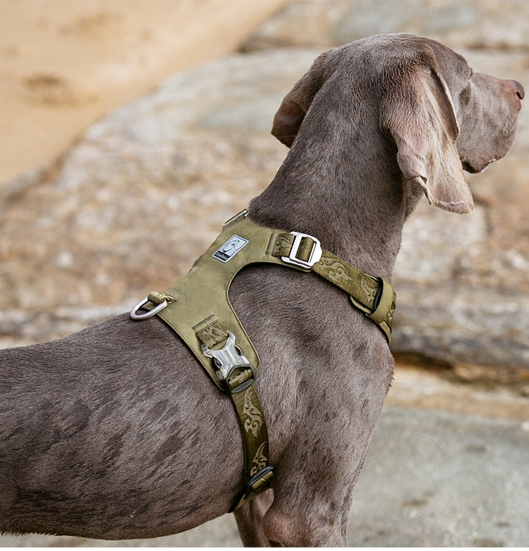 True Love Lightweight Dog Harness - Green, XL-1962324859568656387