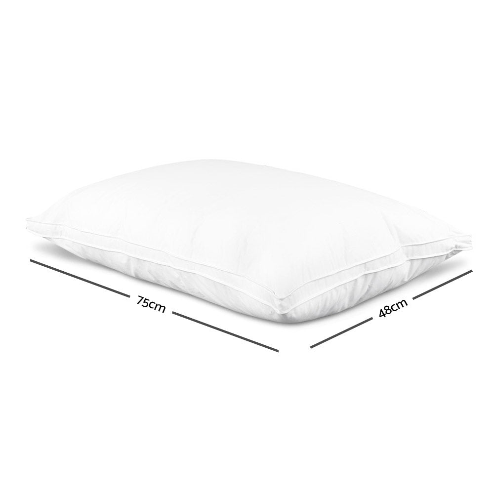 Giselle Bedding Goose Feather Down Pillow Luxury Twin Pack
