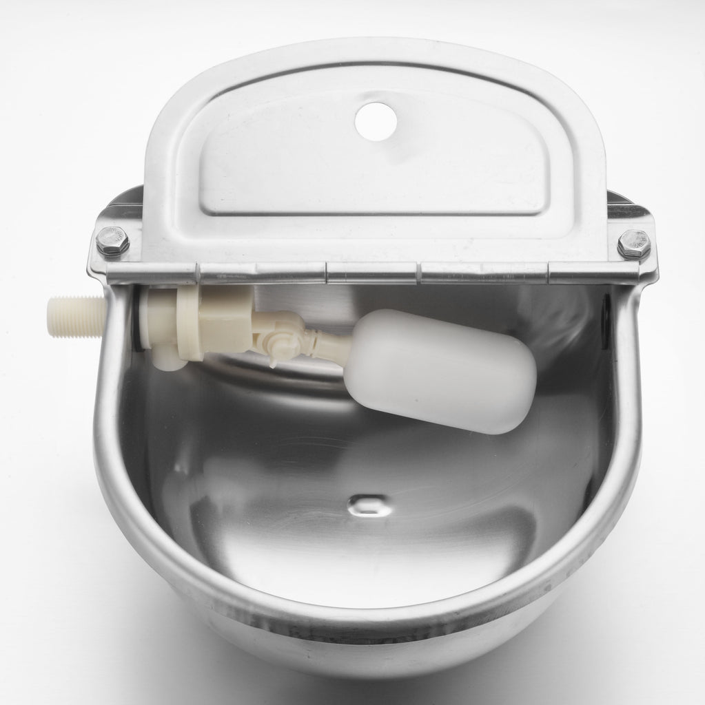 Automatic Water Trough Stainless Steel 304 Bowl