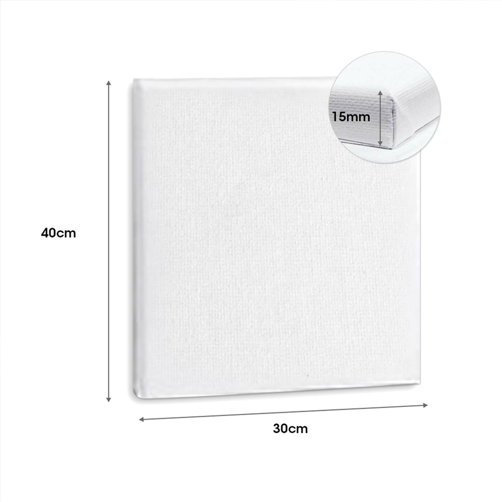 5x Artist Canvas Blank Stretched Canvases-1954802720267440130