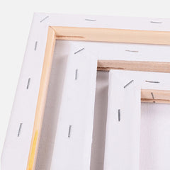 5x Artist Canvas Blank Stretched Canvases-1954802720267440131