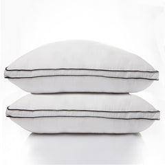 Casa Decor Silk Blend Pillow - Twin Pack-1951134818171490306