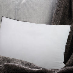 Casa Decor Silk Blend Pillow - Twin Pack-1951134818171490311