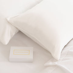 MULBERRY SILK PILLOW CASE TWIN PACK - SIZE: 51X76CM - IVORY-1951134812307853315