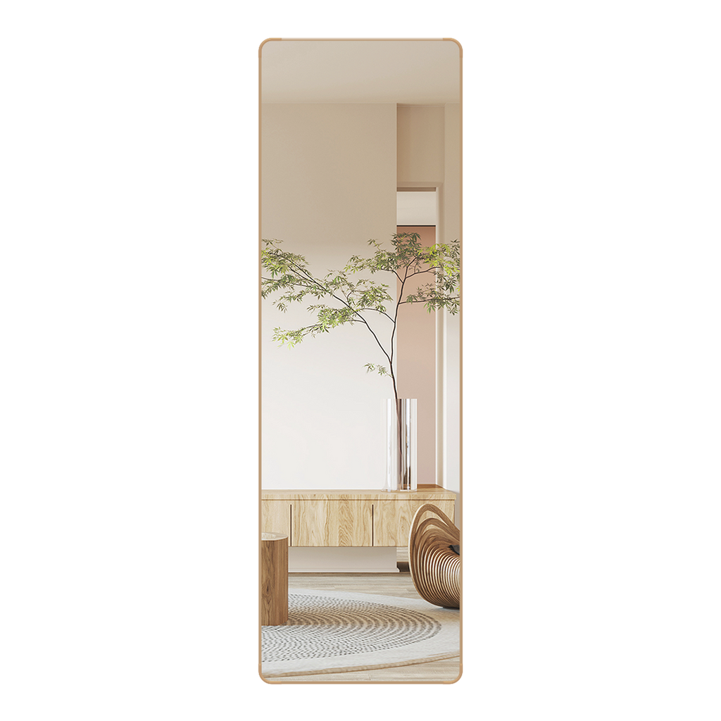 Yezi 120cm Wall Mounted Full Length Mirror Door Hanging-1954802444785553416