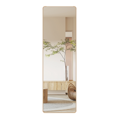 Yezi 120cm Wall Mounted Full Length Mirror Door Hanging-1954802444785553416