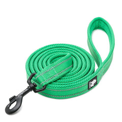 True Love Reflective Pet Leash 2m - Green, M-1962324901125820416