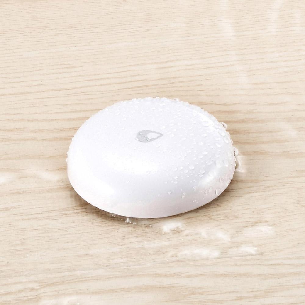 Remote Water Leak Detector For Home Security-1915197589918191616