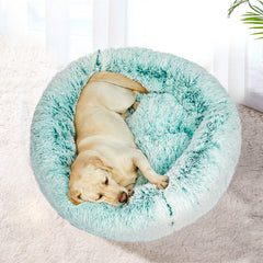 PaWz Pet Bed Cat Dog Donut Nest Calming M Teal Medium-1954802519465136134