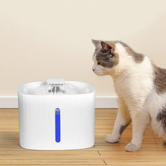 PAWZ Pet Water Fountain-1954802396454588422