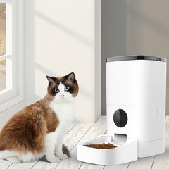 PaWz 6L Auto Feeder Pet Automatic Camera-1954802532199043078
