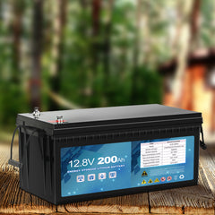 GALVAN 12V Lithium Iron LiFePO4 Battery-1954802903260729350