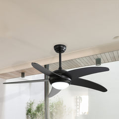 Spector 52'' Ceiling Fan LED Light DC Black-1954802706266853383