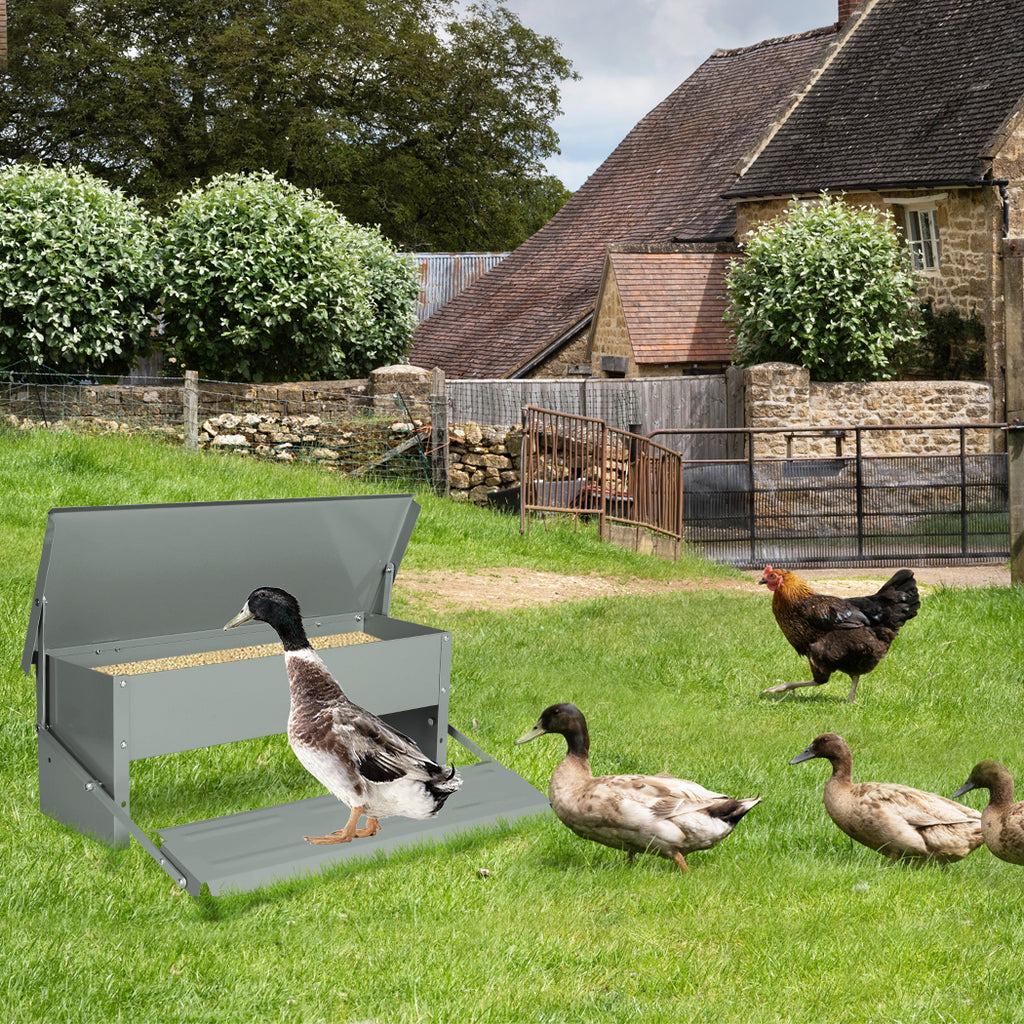 PaWz 5KG Auto Automatic Chicken Feeder-1954802681876975623