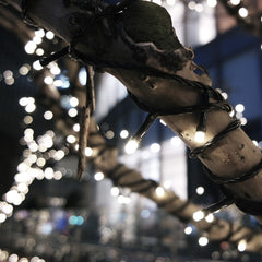 Solar Powered LED Fairy String Lights-1954802500632711175