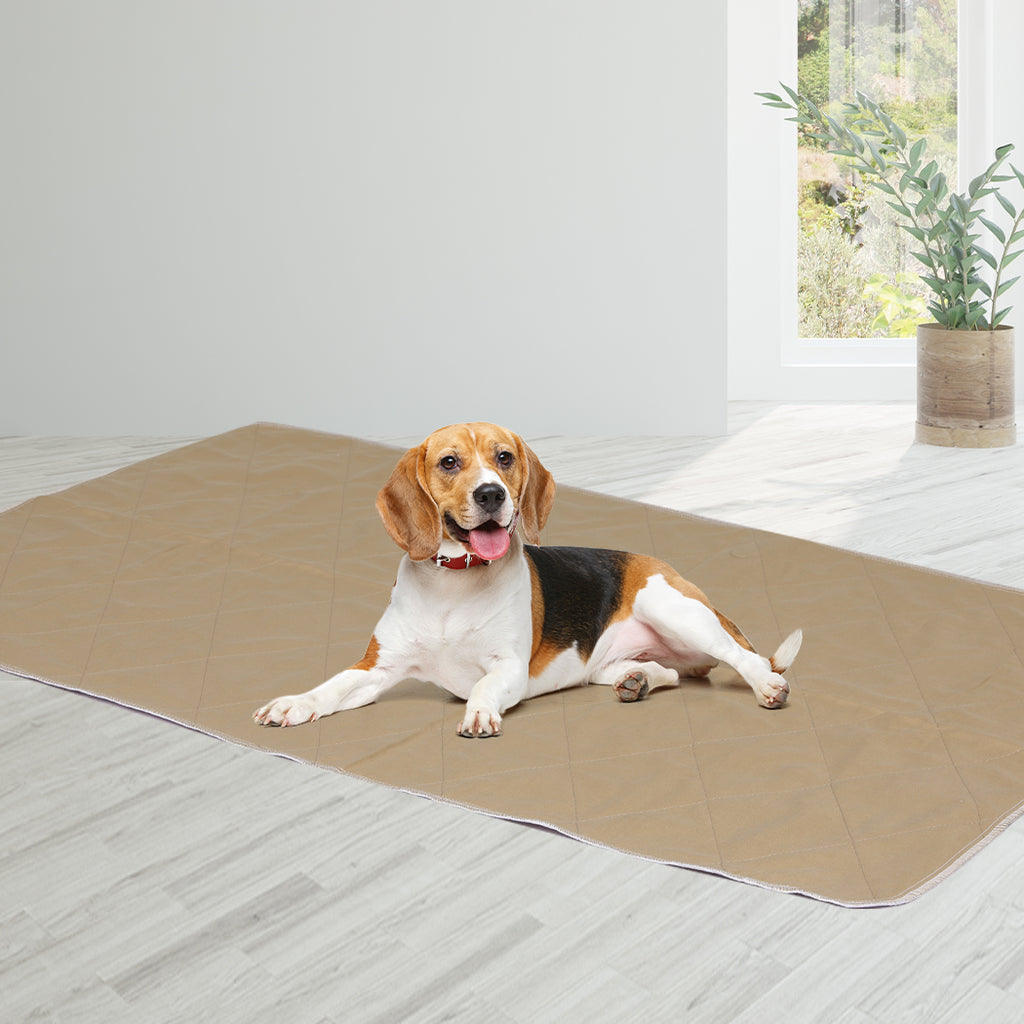 PaWz 2 Pcs 90x90 cm Reusable Waterproof XX-Large-1954803023549173767
