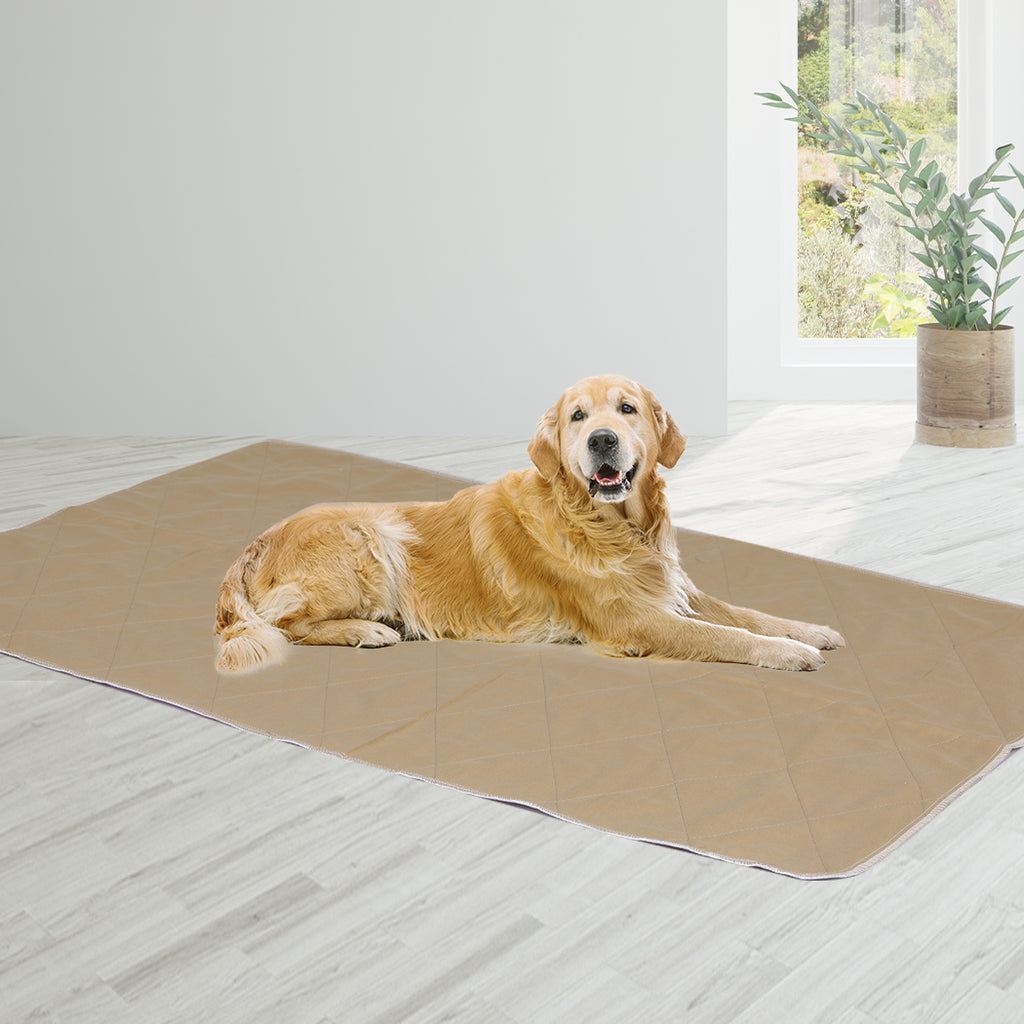 PaWz 2 Pcs 120x120 cm Reusable Waterproof JUMBO-1954803023020691463