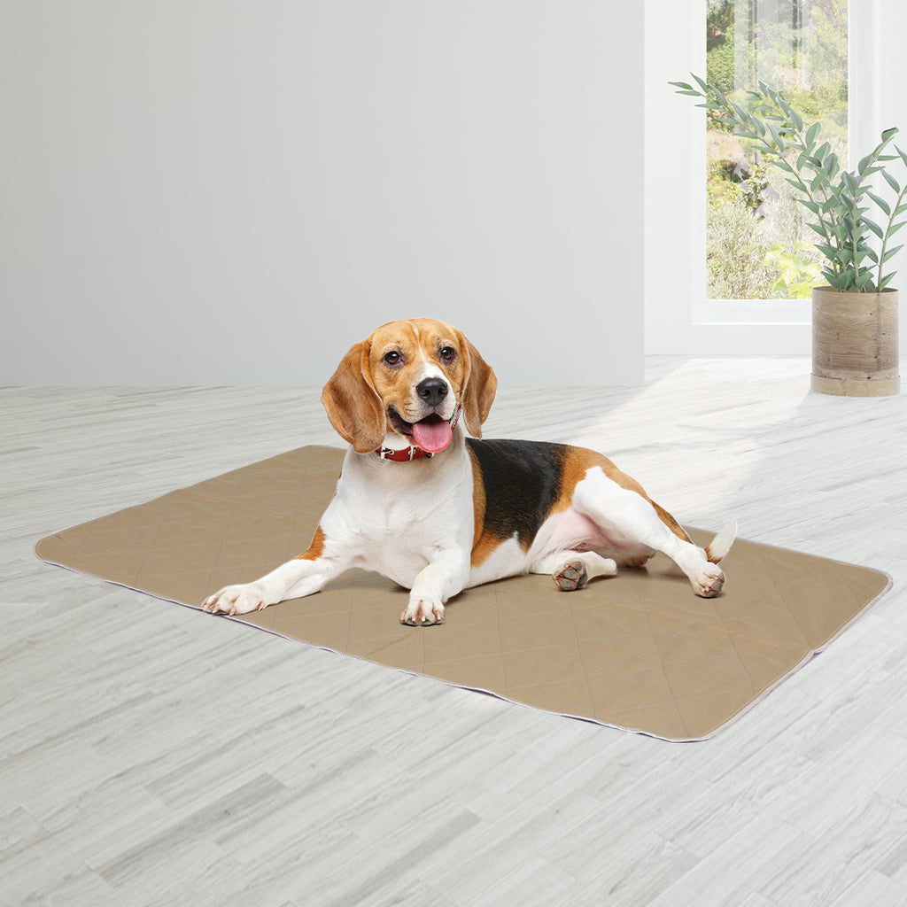 PaWz 2 Pcs 60x90 cm Reusable Waterproof Large-1954803023368818695