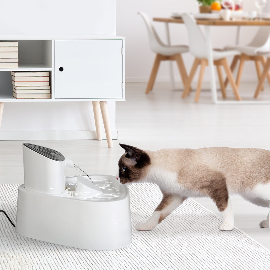 PaWz Electric Pet Water Fountain Drinking-1954802568005816326