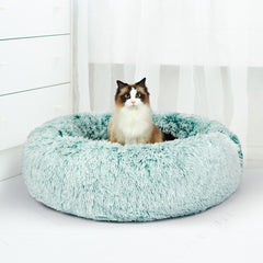 PaWz Pet Beds Dog Cat Soft Warm Kennel XXL Teal XX-Large-1954802522367594503