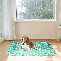 PaWz Pet Cooling Mat Cat Dog Gel Non-Toxic Medium-1954802555498401799