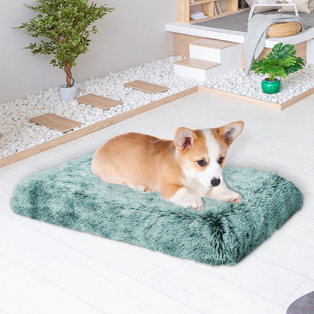 PaWz Dog Mat Pet Calming Bed Memory S Green Small-1954802547747328007