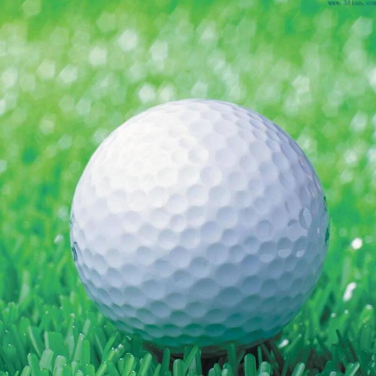 Double Layer Elastic Golf Balls For Driving Range - Synthetic Rubber-1915197723976536064