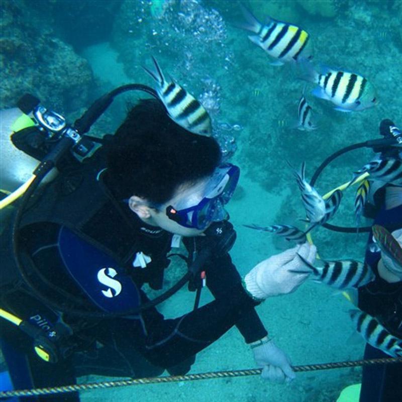 Gopro-Compatible Diving Mask For Water Sports-1915197769803501576