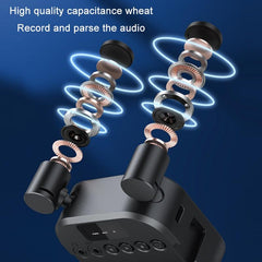 Multi-Angle Stereo Microphone With Lights - Three Temperature Options-1915198121781104642